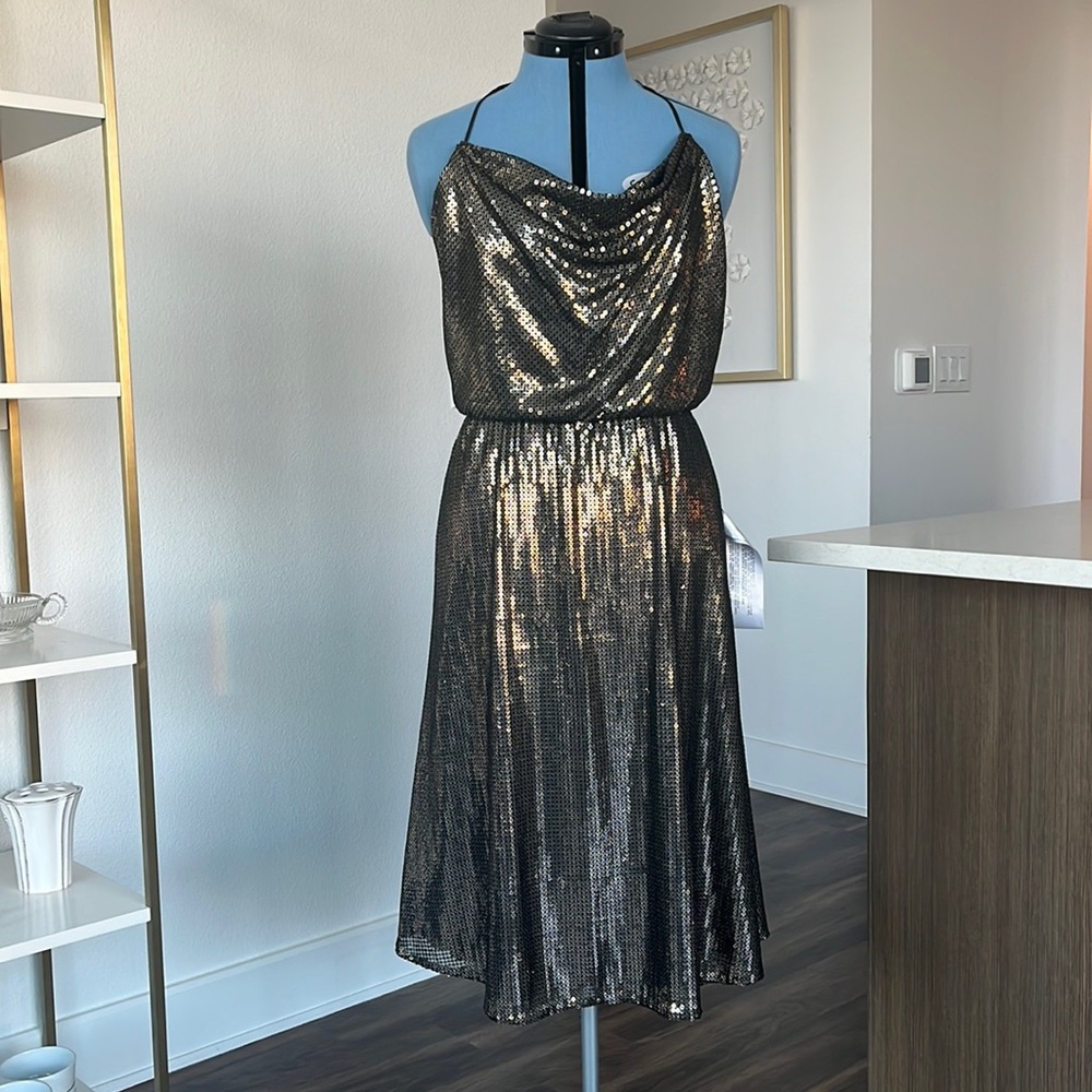 Dress The Population Sequin Dress